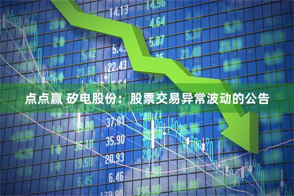 点点赢 矽电股份：股票交易异常波动的公告