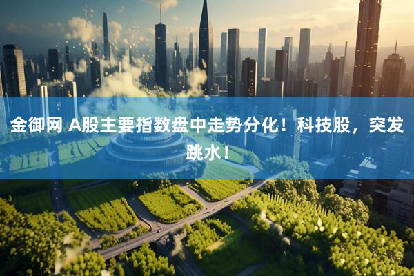 金御网 A股主要指数盘中走势分化！科技股，突发跳水！